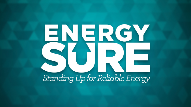 EnergySure Coalition Applauds Atlantic Coast Pipeline LLC’s  Federal Energy Regulatory Commission (FERC) Filing 